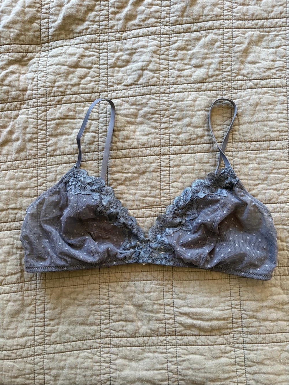 Madewell Delicate Lace Swiss Dot Bralette - Gray Blue